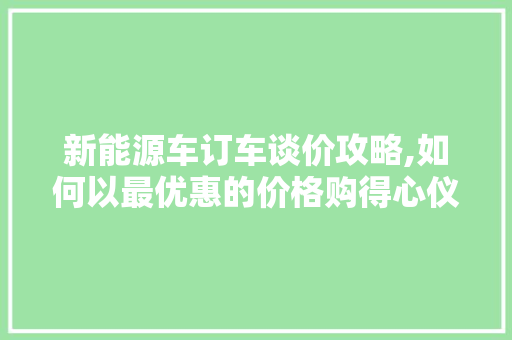 新能源车订车谈价攻略,如何以最优惠的价格购得心仪爱车