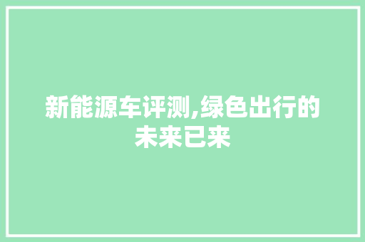 新能源车评测,绿色出行的未来已来