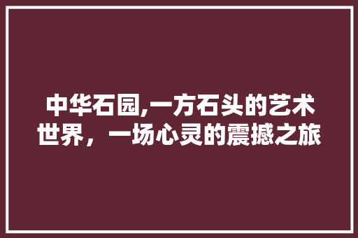 中华石园,一方石头的艺术世界，一场心灵的震撼之旅