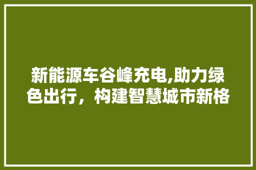 新能源车谷峰充电,助力绿色出行，构建智慧城市新格局