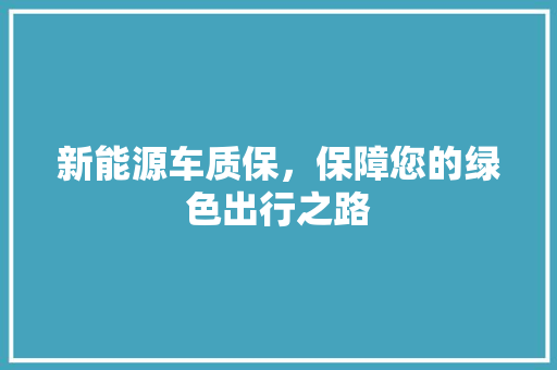 新能源车质保，保障您的绿色出行之路  第1张