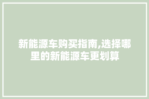 新能源车购买指南,选择哪里的新能源车更划算