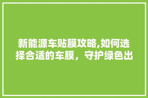 新能源车贴膜攻略,如何选择合适的车膜，守护绿色出行