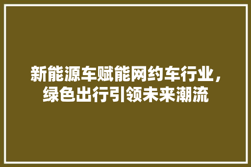 新能源车赋能网约车行业，绿色出行引领未来潮流