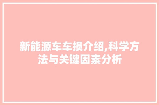 新能源车车损介绍,科学方法与关键因素分析