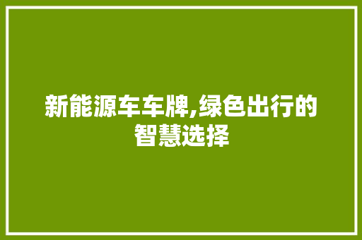 新能源车车牌,绿色出行的智慧选择  第1张