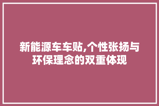 新能源车车贴,个性张扬与环保理念的双重体现