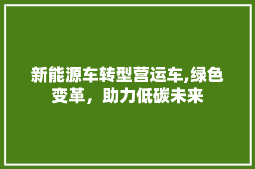 新能源车转型营运车,绿色变革，助力低碳未来  第1张