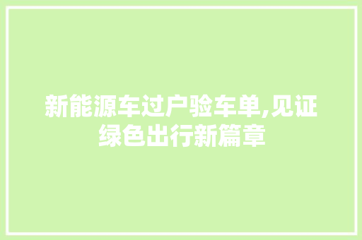 新能源车过户验车单,见证绿色出行新篇章