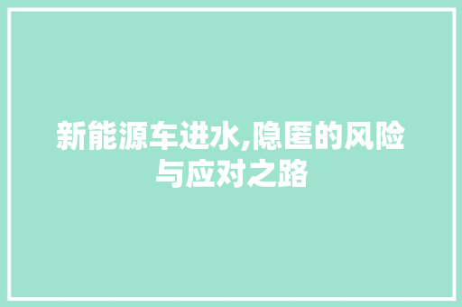 新能源车进水,隐匿的风险与应对之路