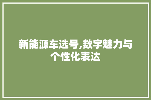 新能源车选号,数字魅力与个性化表达