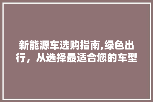 新能源车选购指南,绿色出行，从选择最适合您的车型开始