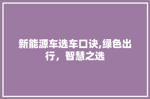 新能源车选车口诀,绿色出行，智慧之选  第1张