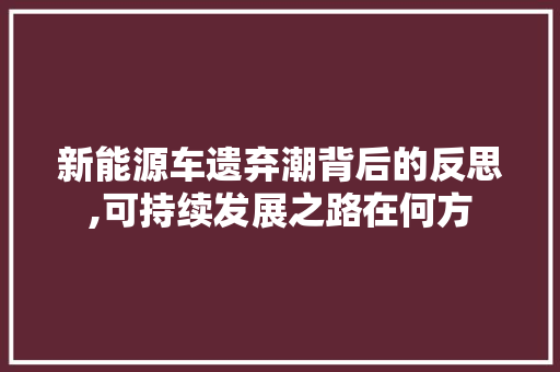 新能源车遗弃潮背后的反思,可持续发展之路在何方  第1张