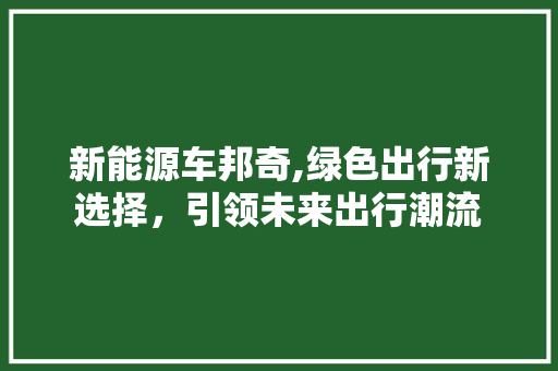 新能源车邦奇,绿色出行新选择，引领未来出行潮流