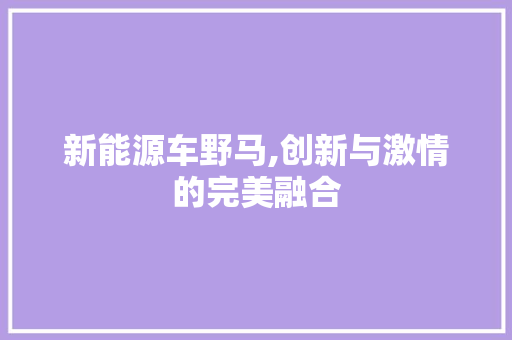 新能源车野马,创新与激情的完美融合