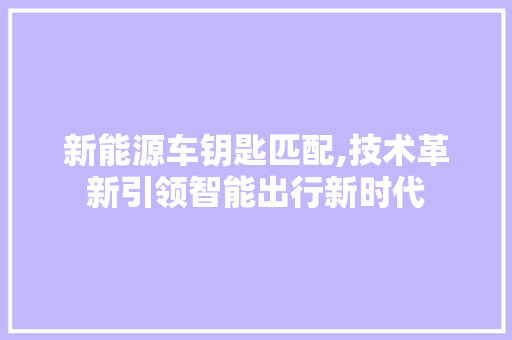 新能源车钥匙匹配,技术革新引领智能出行新时代