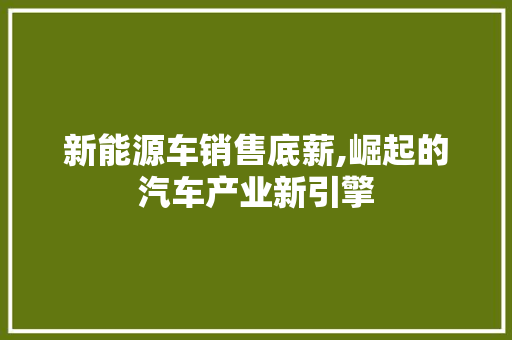 新能源车销售底薪,崛起的汽车产业新引擎