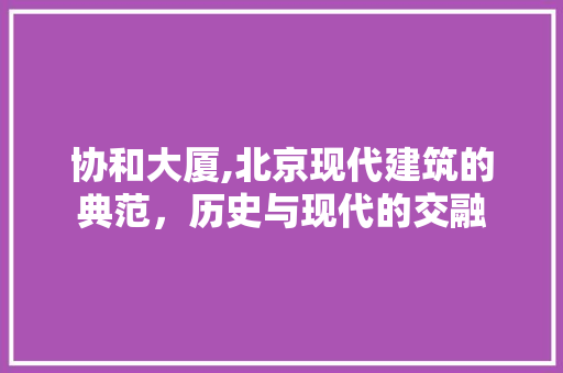 协和大厦,北京现代建筑的典范，历史与现代的交融