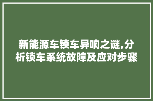 新能源车锁车异响之谜,分析锁车系统故障及应对步骤  第1张