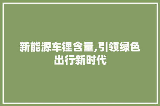 新能源车锂含量,引领绿色出行新时代