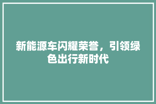 新能源车闪耀荣誉，引领绿色出行新时代