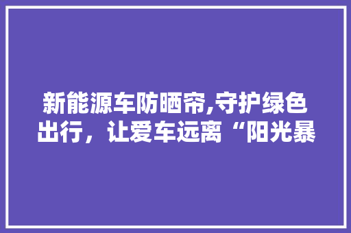 新能源车防晒帘,守护绿色出行，让爱车远离“阳光暴晒”