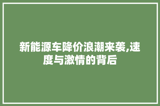 新能源车降价浪潮来袭,速度与激情的背后