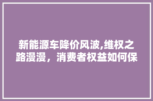 新能源车降价风波,维权之路漫漫，消费者权益如何保障