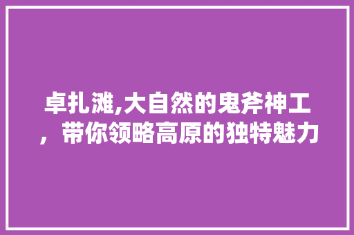 卓扎滩,大自然的鬼斧神工，带你领略高原的独特魅力