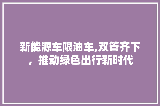 新能源车限油车,双管齐下，推动绿色出行新时代