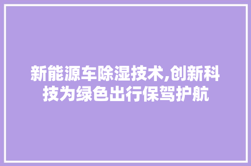 新能源车除湿技术,创新科技为绿色出行保驾护航