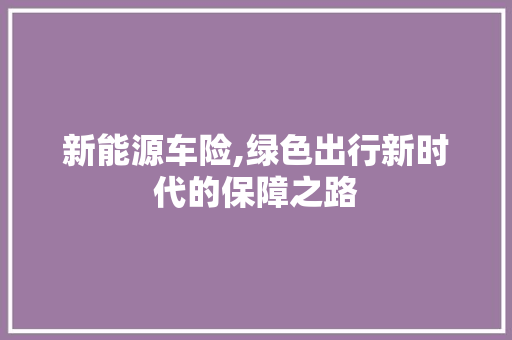 新能源车险,绿色出行新时代的保障之路