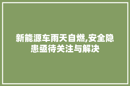 新能源车雨天自燃,安全隐患亟待关注与解决