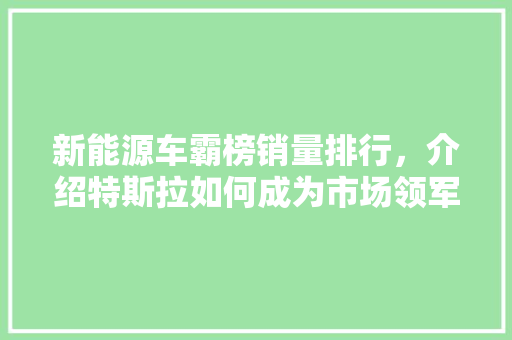 新能源车霸榜销量排行，介绍特斯拉如何成为市场领军者