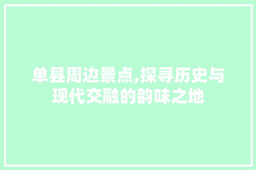 单县周边景点,探寻历史与现代交融的韵味之地