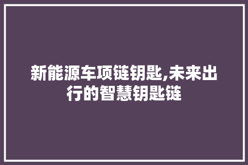 新能源车项链钥匙,未来出行的智慧钥匙链