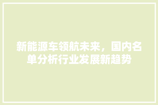 新能源车领航未来，国内名单分析行业发展新趋势