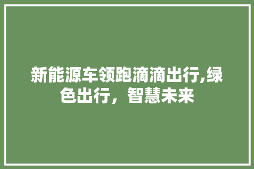 新能源车领跑滴滴出行,绿色出行，智慧未来