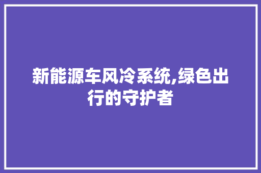 新能源车风冷系统,绿色出行的守护者