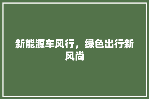 新能源车风行，绿色出行新风尚