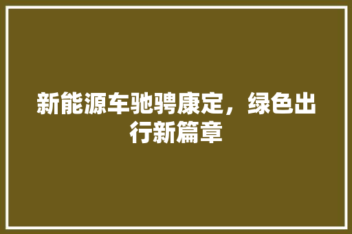 新能源车驰骋康定，绿色出行新篇章