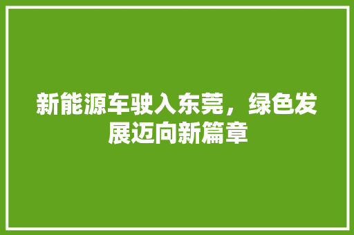 新能源车驶入东莞，绿色发展迈向新篇章