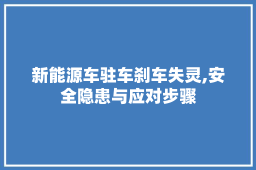 新能源车驻车刹车失灵,安全隐患与应对步骤