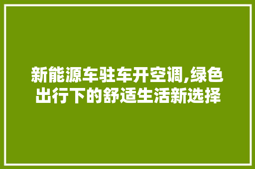 新能源车驻车开空调,绿色出行下的舒适生活新选择