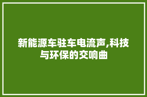 新能源车驻车电流声,科技与环保的交响曲