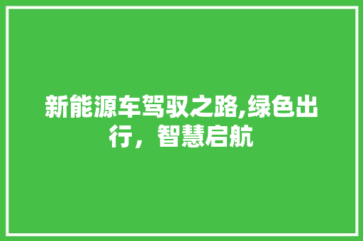 新能源车驾驭之路,绿色出行，智慧启航