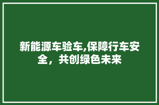 新能源车验车,保障行车安全，共创绿色未来