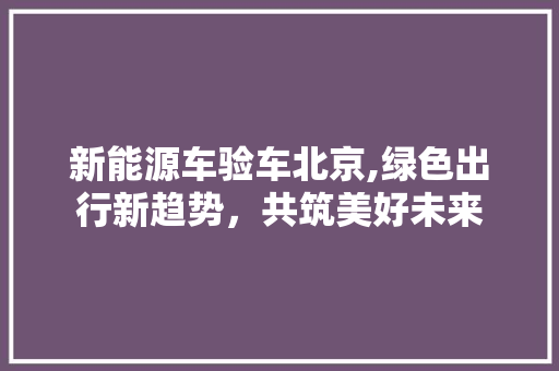 新能源车验车北京,绿色出行新趋势，共筑美好未来