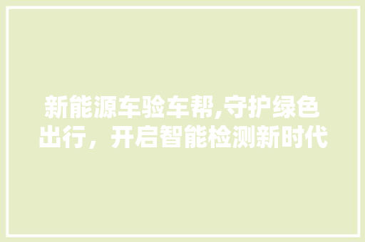 新能源车验车帮,守护绿色出行，开启智能检测新时代